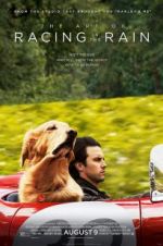 Watch The Art of Racing in the Rain Putlocker