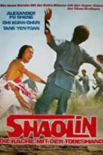 Watch The Shaolin Avengers Putlocker