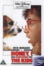 Watch Honey, I Shrunk the Kids Putlocker