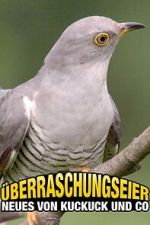 Watch berraschungseier: Neues von Kuckuck und Co. Putlocker