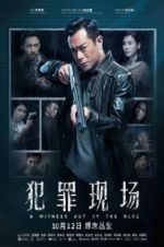 Watch A Witness out of the Blue Putlocker