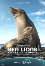 Sea Lions of the Galapagos (TV Special 2025) putlocker