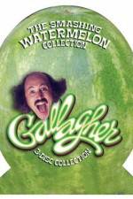 Watch Gallagher Overboard Putlocker