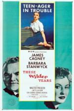 Watch These Wilder Years Putlocker