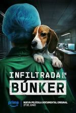 Watch Infiltrada en el bnker Putlocker