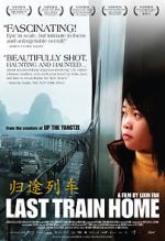 Watch Last Train Home Putlocker