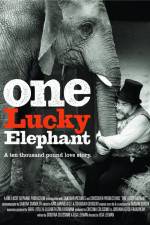 Watch En lycklig elefant Putlocker