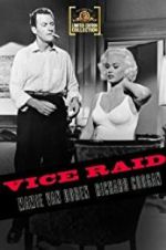 Watch Vice Raid Putlocker