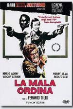 Watch The Italian Connection Putlocker