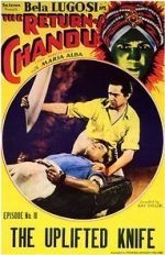 Watch The Return of Chandu Putlocker