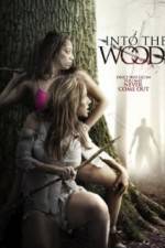 Watch Into the Woods Putlocker