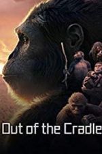 Watch Out of the Cradle Putlocker