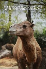 Watch My Epic Camel Adventure with Gordon Buchanan Putlocker