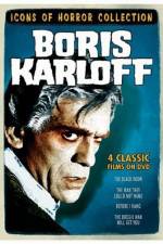 Watch The Boogie Man Will Get You Putlocker