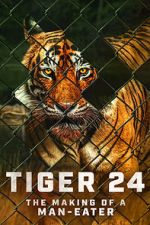 Watch Tiger 24 Putlocker