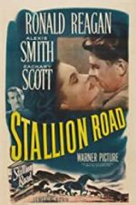 Watch Stallion Road Putlocker