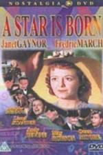 Watch A Star Is Born Putlocker