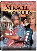 Watch Miracle in the Woods Putlocker