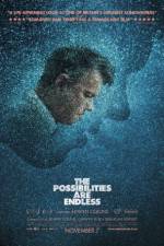 Watch The Possibilities Are Endless Putlocker