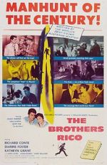 Watch The Brothers Rico Putlocker