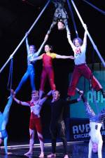 Watch Circus School Putlocker