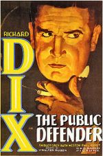 Watch The Public Defender Putlocker