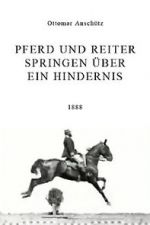 Watch Pferd und Reiter Springen ber ein Hindernis Putlocker