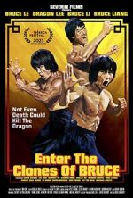Watch Enter the Clones of Bruce Putlocker