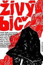 Watch Zivy bic Putlocker