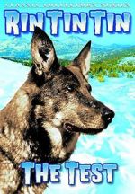 Watch The Test Putlocker