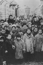 Watch AUSCHWITZ: LIBERATION AND REVENGE Putlocker