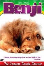 Watch Benji Putlocker