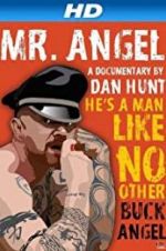 Watch Mr. Angel Putlocker