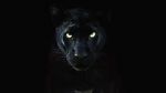 Watch The Real Black Panther (Short 2020) Putlocker