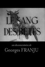 Watch Blood of the Beasts (Short 1949) Putlocker