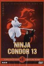 Watch Ninjas Condors 13 Putlocker