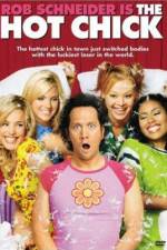 Watch The Hot Chick Putlocker