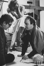Watch The Man Who Shot the 60s Putlocker