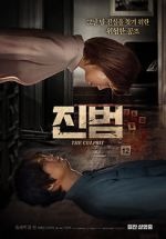 Watch The Culprit Putlocker