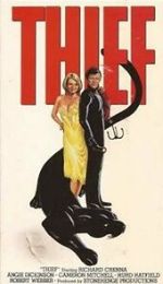 Watch Thief Putlocker