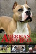 Watch American Pit Bull Putlocker