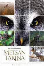 Watch Tale of a Forest Putlocker