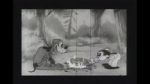 Watch Bosko\'s Dog Race Putlocker