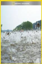 Watch National Geographic Hooked Carp Invasion Putlocker