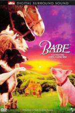 Watch Babe Putlocker