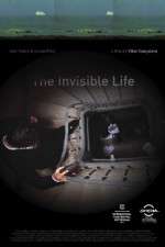 Watch A Vida Invisvel Putlocker