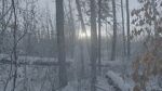 Watch Once There Was a Winter Putlocker