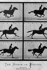 Watch Sallie Gardner at a Gallop Putlocker