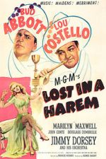 Watch Lost in a Harem Putlocker