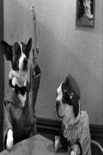 Watch The Two Barks Brothers Putlocker
